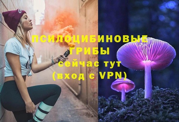 трава Богданович