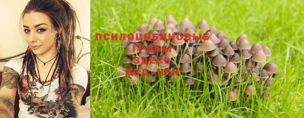 MESCALINE Богородск