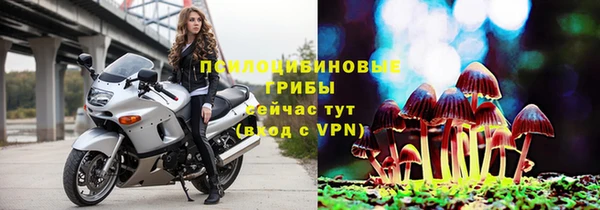трава Богданович