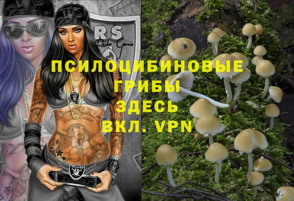 альфа пвп Богородицк