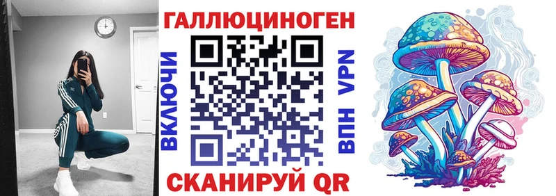 Купить где  Мончегорск  Псилоцибиновые грибы Psilocybe 