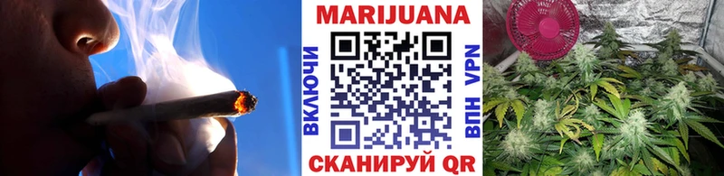 Купить закладки  Мончегорск  Бошки марихуана тримм 